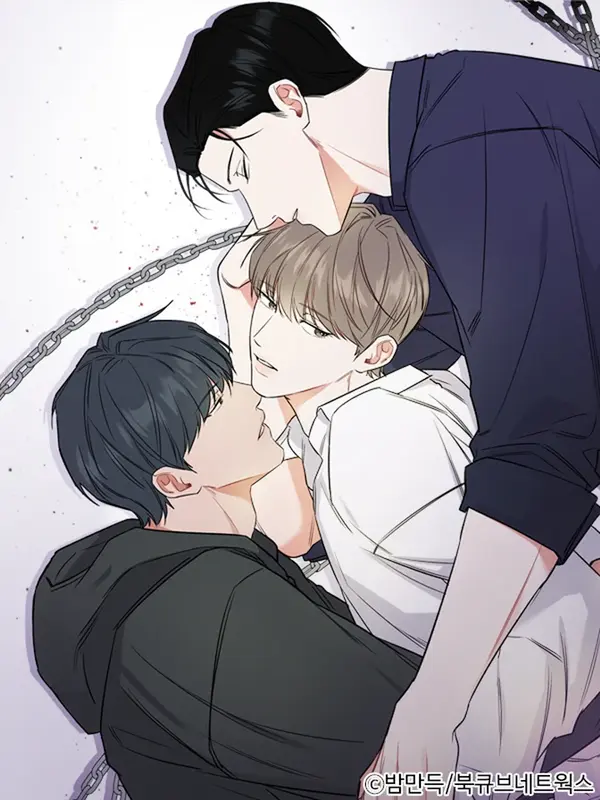 밤의 해